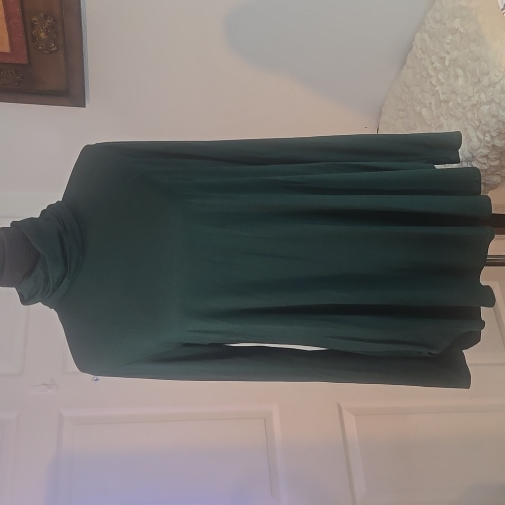Elegant Green Turtleneck Dress